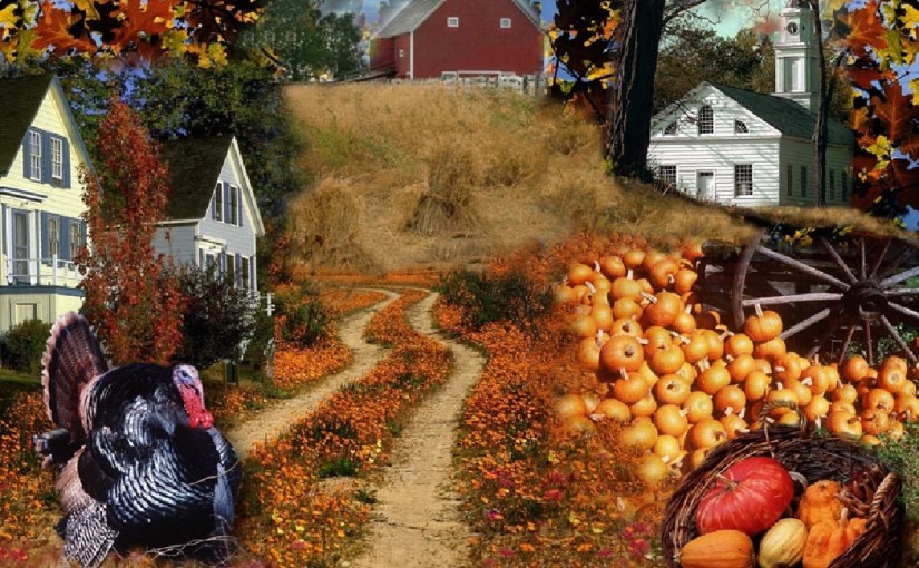 What Am I Thankful For In&nbsp;2015?