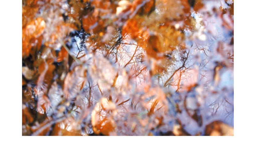 Unnecessary use of an&nbsp;Adjective